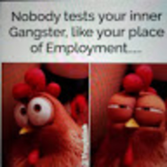 westernokgrl